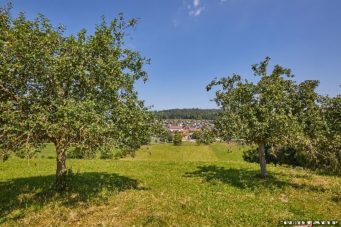 Gemeinde Aschau Landkreis Mühldorf Kemating Hörmannsberg Aussicht (Dirschl Johann) Deutschland MÜ